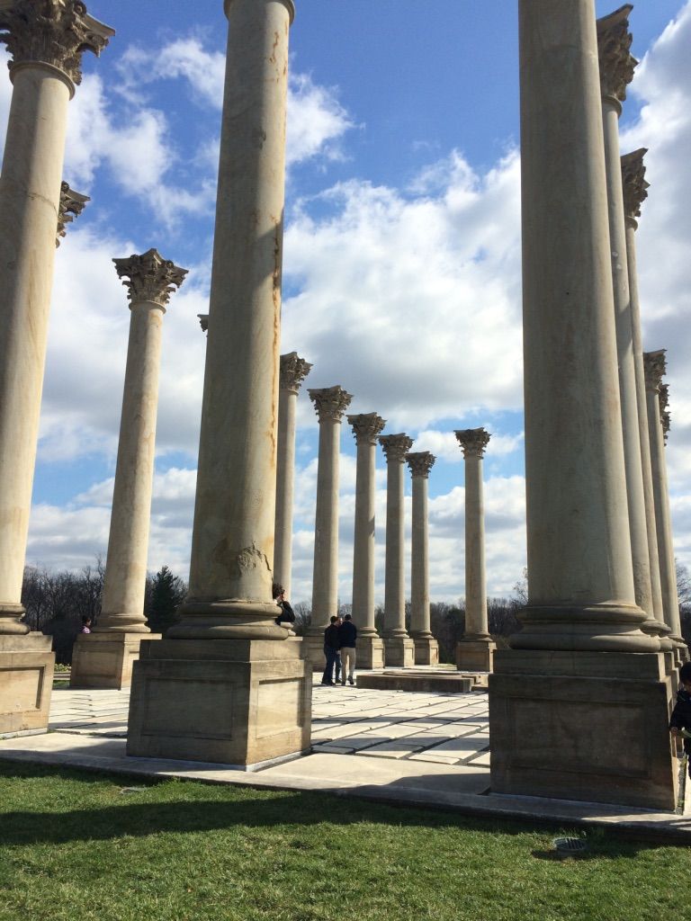 National Arboretum 国立樹木園 メリーランド州 ロックビル情報 生活 旅行 グルメ National Arboretum 国立樹木園 メリーランド州 ロックビル情報 生活 旅行 グルメ
