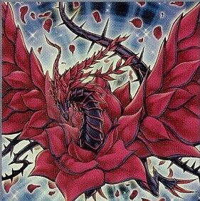 card1002777_1.2jpg