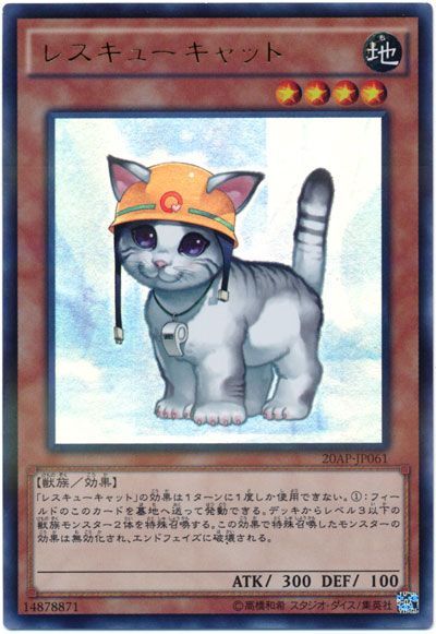 card100047613_1