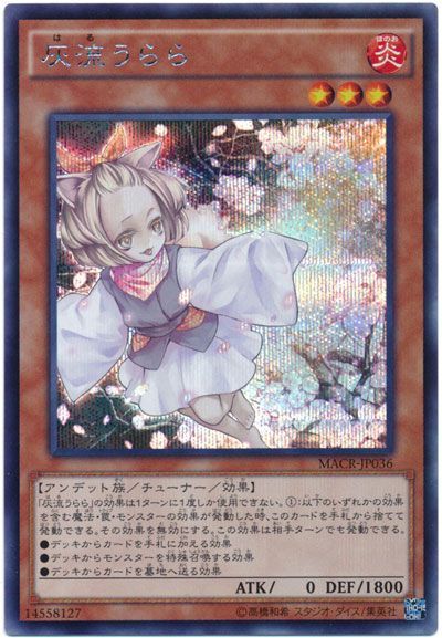 card100046434_1