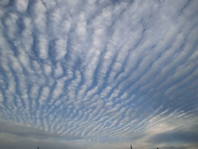 うろこ雲 いわし雲 源じいちゃんの家庭菜園 園芸 散歩の日記