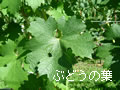 0bc625b6.jpg