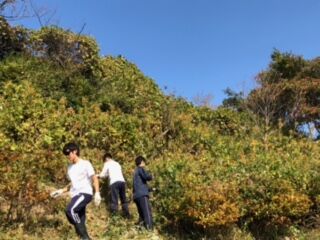 image2 (3)