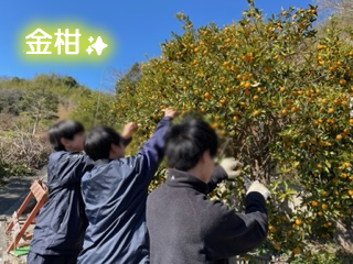image1f