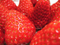 b721d895.jpg