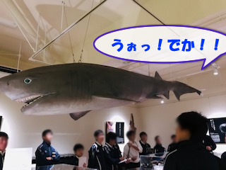 4 (2)
