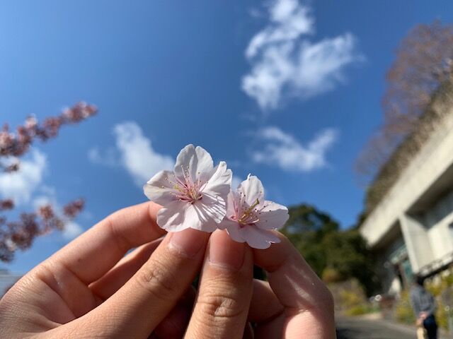 常葉大学合格おめでとう 不登校365日24時間 フリースクール元気学園 ブログ 常葉大学合格おめでとう 不登校365日24時間 フリースクール元気学園 ブログ