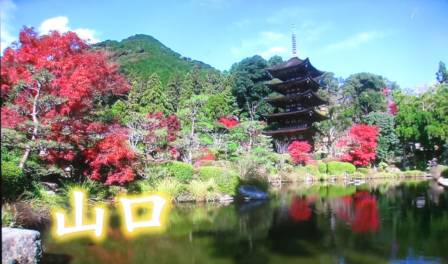 11月25日 Nhk Bs 新日本風土記 山口 新日本風土記 選 豆腐 視聴しました 晴耕雨読 僕は頑張らない 11月25日 Nhk Bs 新日本風土記 山口 新日本風土記 選 豆腐 視聴しました 晴耕雨読 僕は頑張らない