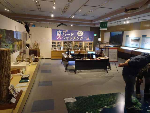 10月28日 広島大学総合博物館に行ってみました 晴耕雨読 僕は頑張らない 10月28日 広島大学総合博物館に行ってみました 晴耕雨読 僕は頑張らない