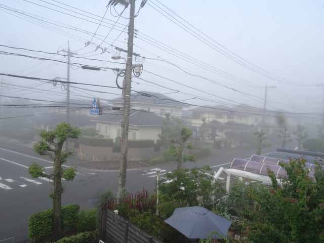 5月28日 安芸津の別の場所に畑を作ろうかな と考えています 夜は Nhk 新日本風土記 さくらの歌 を視聴しました 晴耕雨読 僕は頑張らない