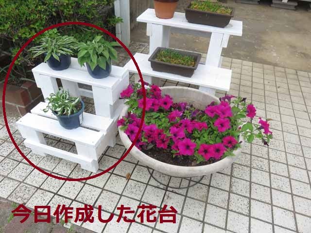 5月27日 ホームセンターで パッション フルーツの小苗 を買いました 小さな花台を作りました 今 庭に咲いている花 アマリリス クレマチス ラベンダー 晴耕雨読 僕は頑張らない