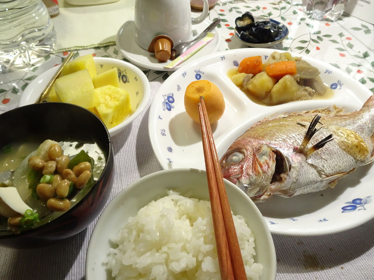 6月19日 テール シチューをつくりました コイワシの刺身を食べました カープが勝って気分がいいです 晴耕雨読 僕は頑張らない 6月19日 テール シチューをつくりました コイワシの刺身を食べました カープが勝って気分がいいです 晴耕雨読 僕は頑張らない