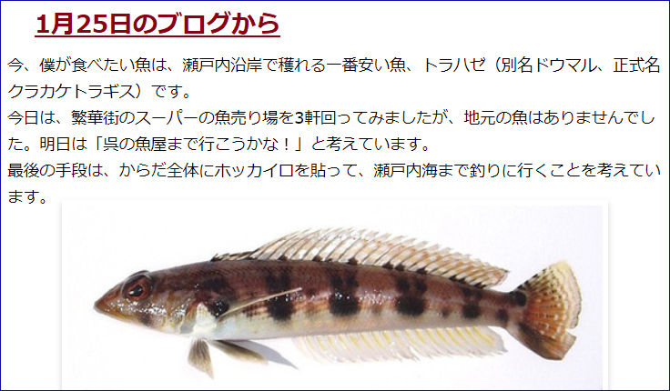 3月17日 サヨリ レンチョウカレイの干物 ドウマル トラハゼ のお煮付けで一杯 庭の水仙がきれいです 晴耕雨読 僕は頑張らない 3月17日 サヨリ レンチョウカレイの干物 ドウマル トラハゼ のお煮付けで一杯 庭の水仙がきれいです 晴耕雨読 僕は頑張らない