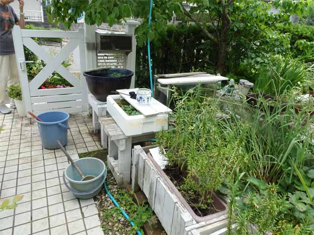 6月30日 午前中は元気が出なくて困っていましたが 昼寝をしたら俄然元気が出て来て100分de名著 ボーヴォワール 老い を読みました 晴耕雨読 僕は頑張らない 6月30日 午前中は元気が出なくて困っていましたが 昼寝をしたら俄然元気が出て来て100分de名著 ボーヴォワール 老い を読みました 晴耕雨読 僕は頑張らない