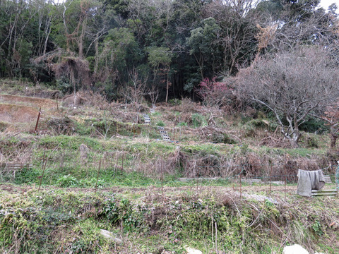 ２月4日安芸津 (4)