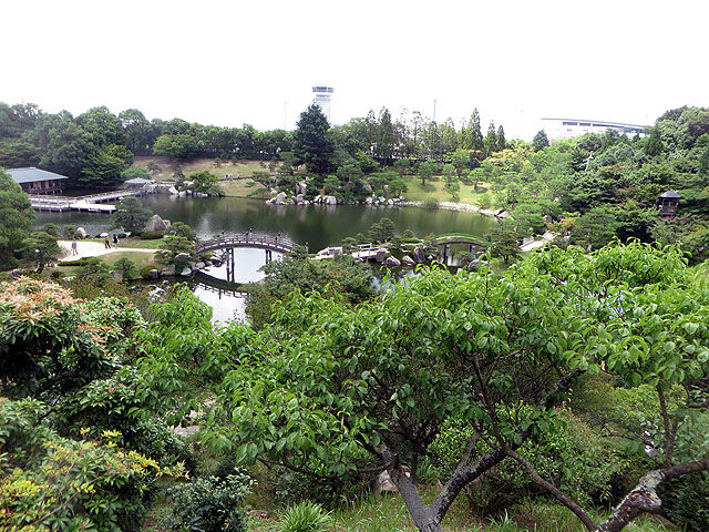 広島空港隣接の三景園のアジサイを見に行きました 晴耕雨読 僕は頑張らない 広島空港隣接の三景園のアジサイを見に行きました 晴耕雨読 僕は頑張らない