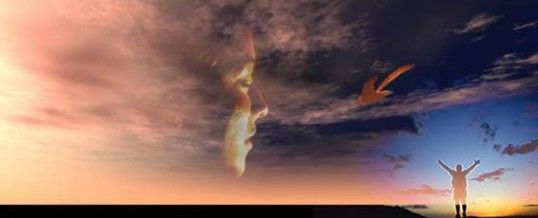 img_943400_33435149_0