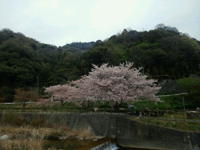 2014041220540000
