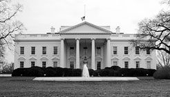 white_house