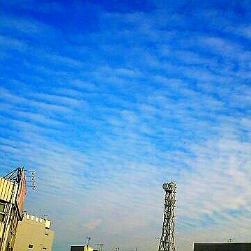 2013-01-26-00-31-44_deco