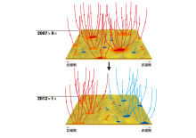 t02200155_0800056511990354670