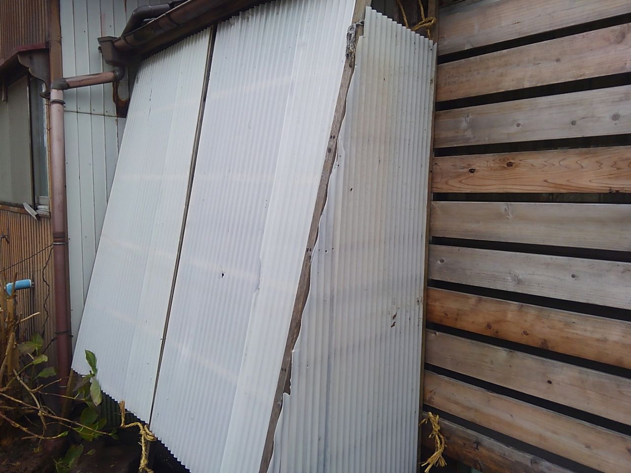 ペレがワールドカップですでに行った10の間違った予測