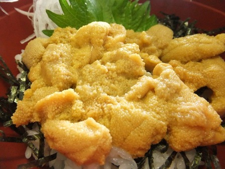 【北山崎レストハウス】うに丼
