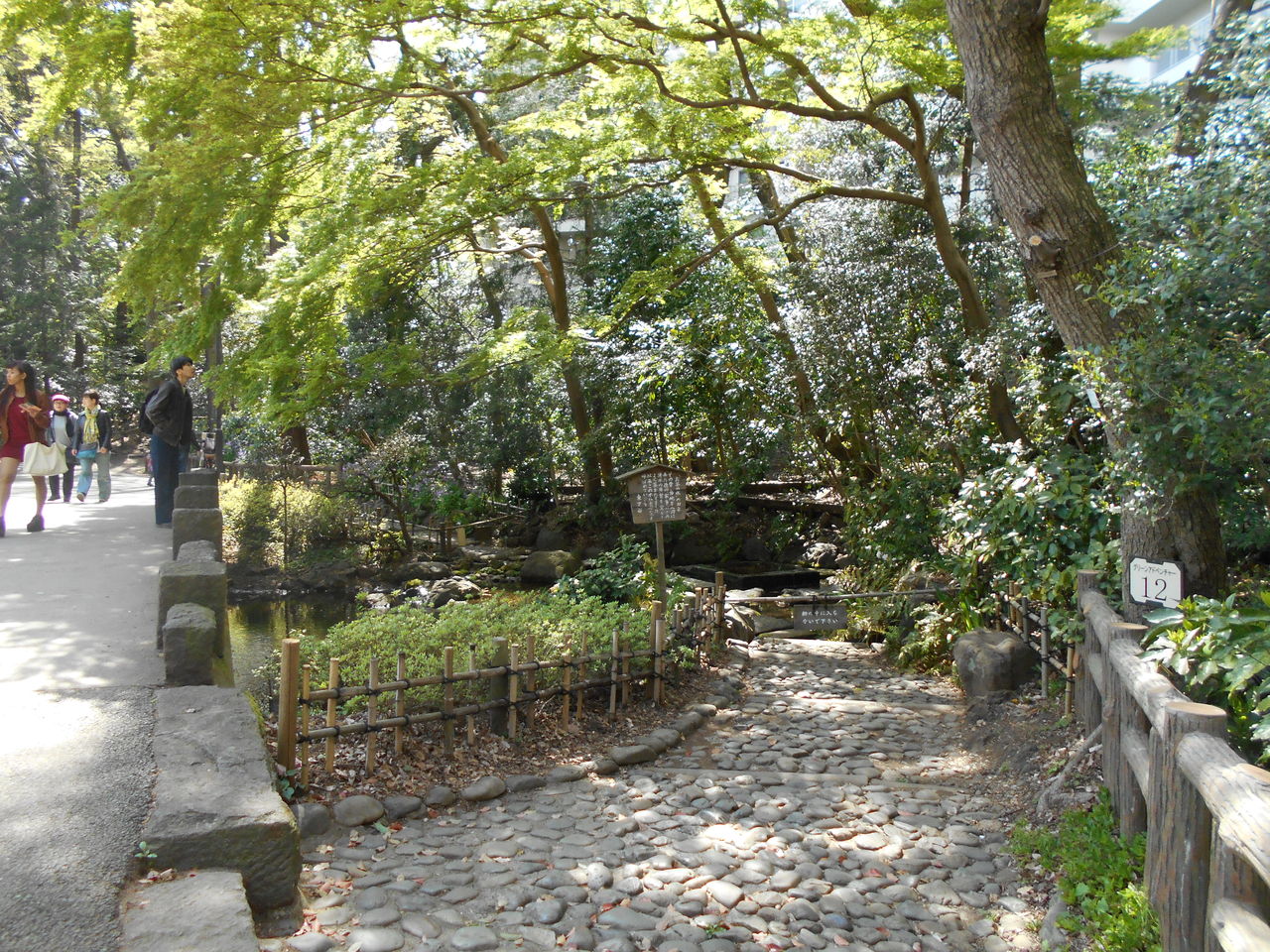 井の頭公園のお茶の水 ゲンさんのホームページ 井の頭公園のお茶の水 ゲンさんのホームページ