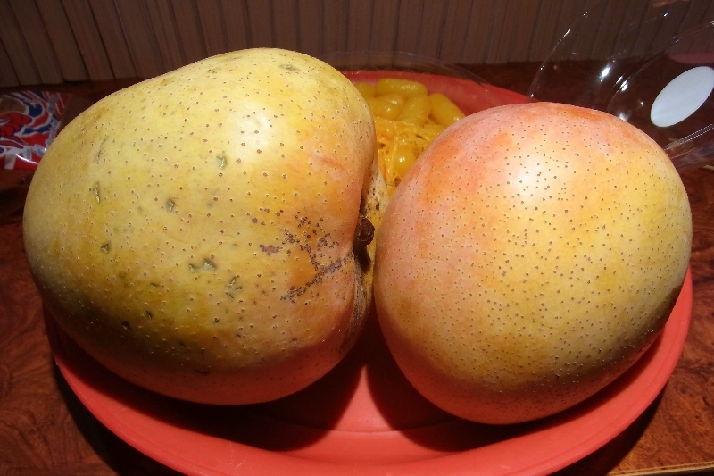 イメージ 3