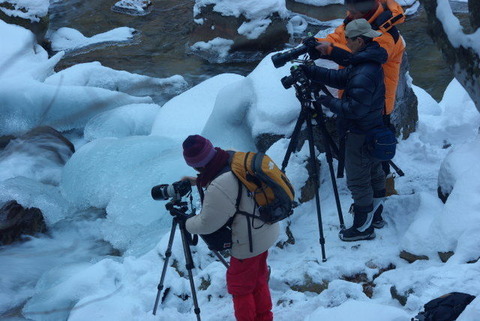 7910559_2145985415_41large