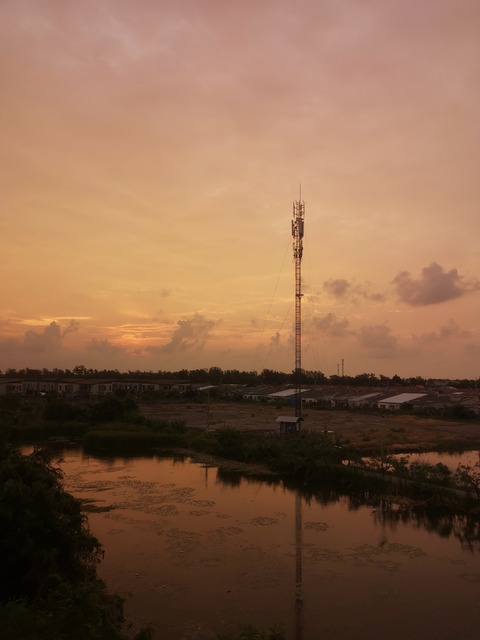 IMG_20220318_063624-01