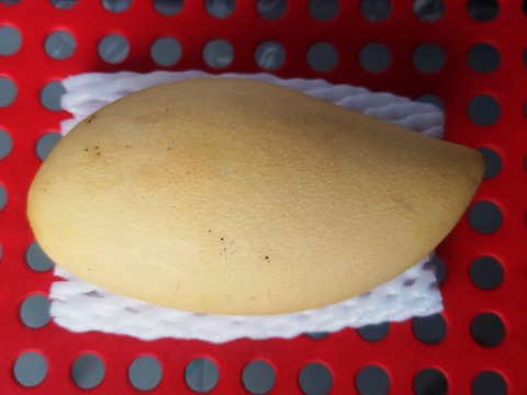 IMG_20220411_065945-01