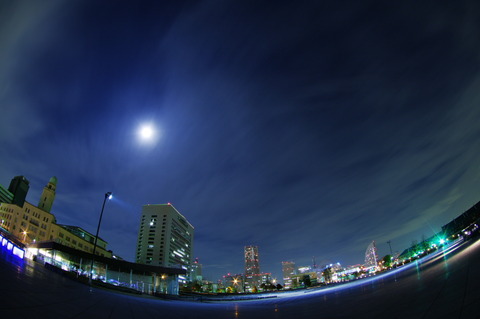 IMGP2139_20101122145521