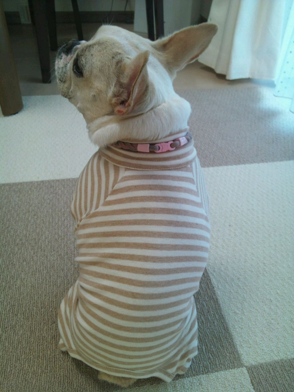 オーガニックコットンのカバーオール げんこつでbuhi