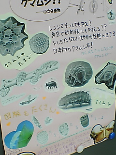 クマムシ ｂｌｏｇｅｎ