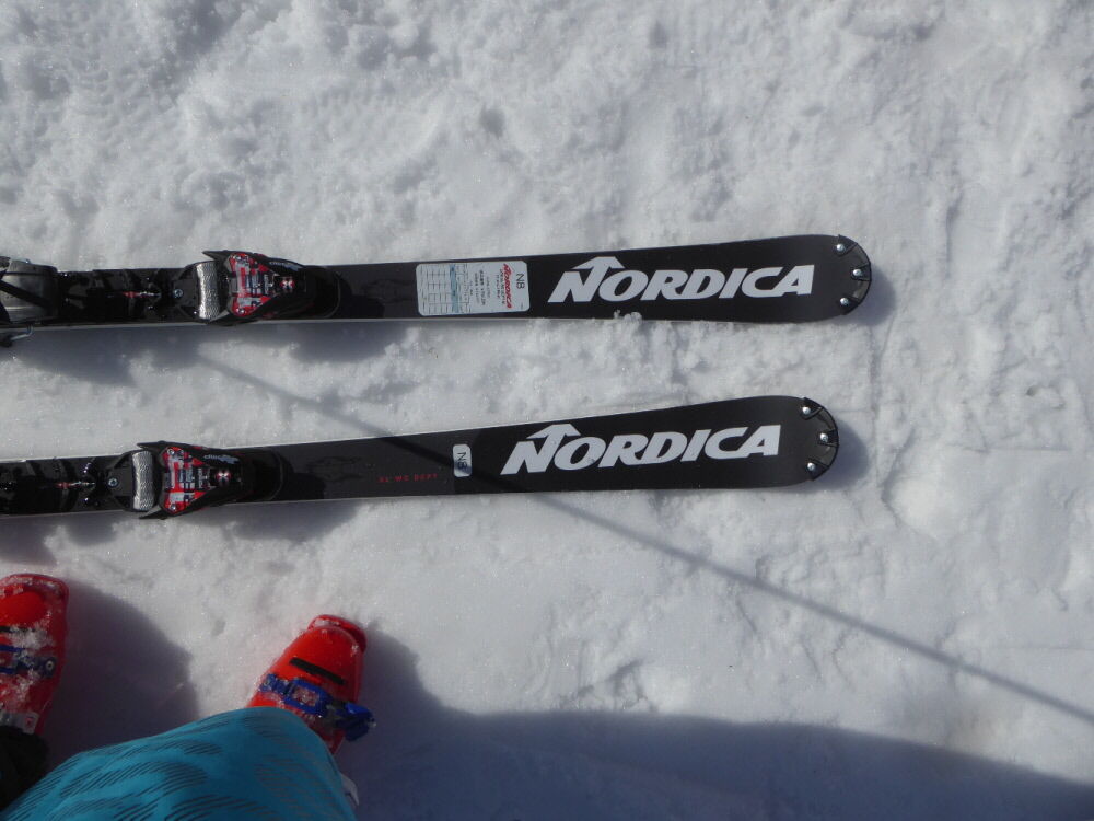 25-nordica-dobermann-slr-dc-