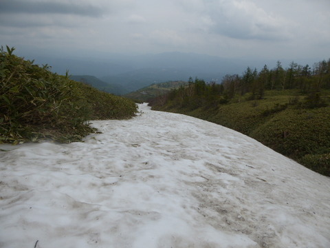 P1050209