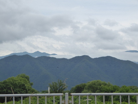 P1050253