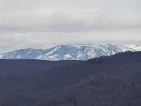 P1040598