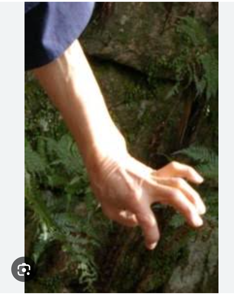 Screenshot_20250407-195519~2