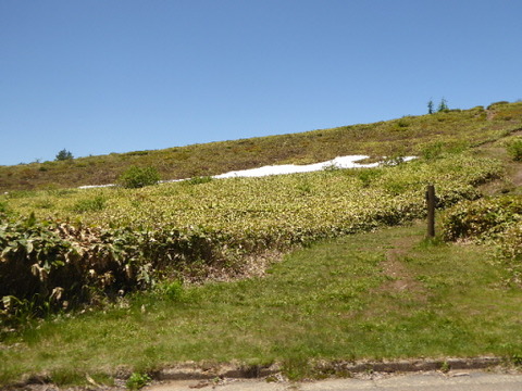 P1050238