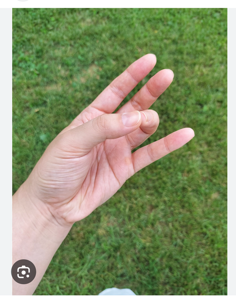 Screenshot_20250407-194930~2