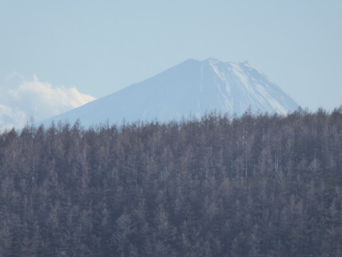 P1040420