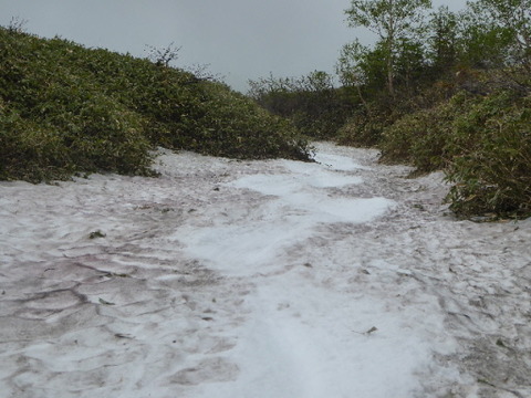 P1050225