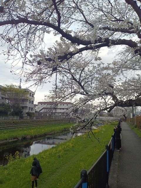 KIMG20250330_163953549