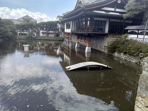 KIMG20250814_102722967