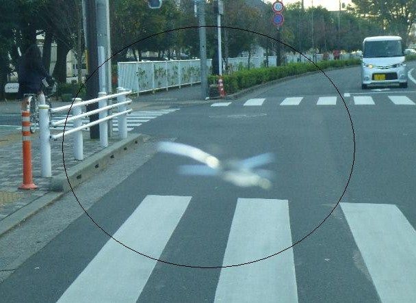 イメージ 4