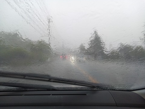 KIMG20250722_141601393