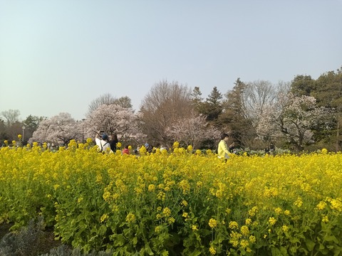 KIMG20250326_153645597