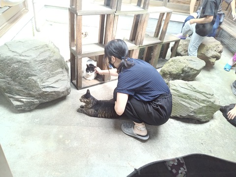 KIMG20240810_130356322